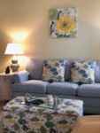 cleaning service living room